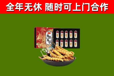 皇姑烟酒回收冬虫夏草礼盒.jpg